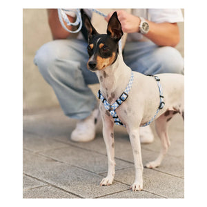 Cafide - Juno Dog Run | Light Blue