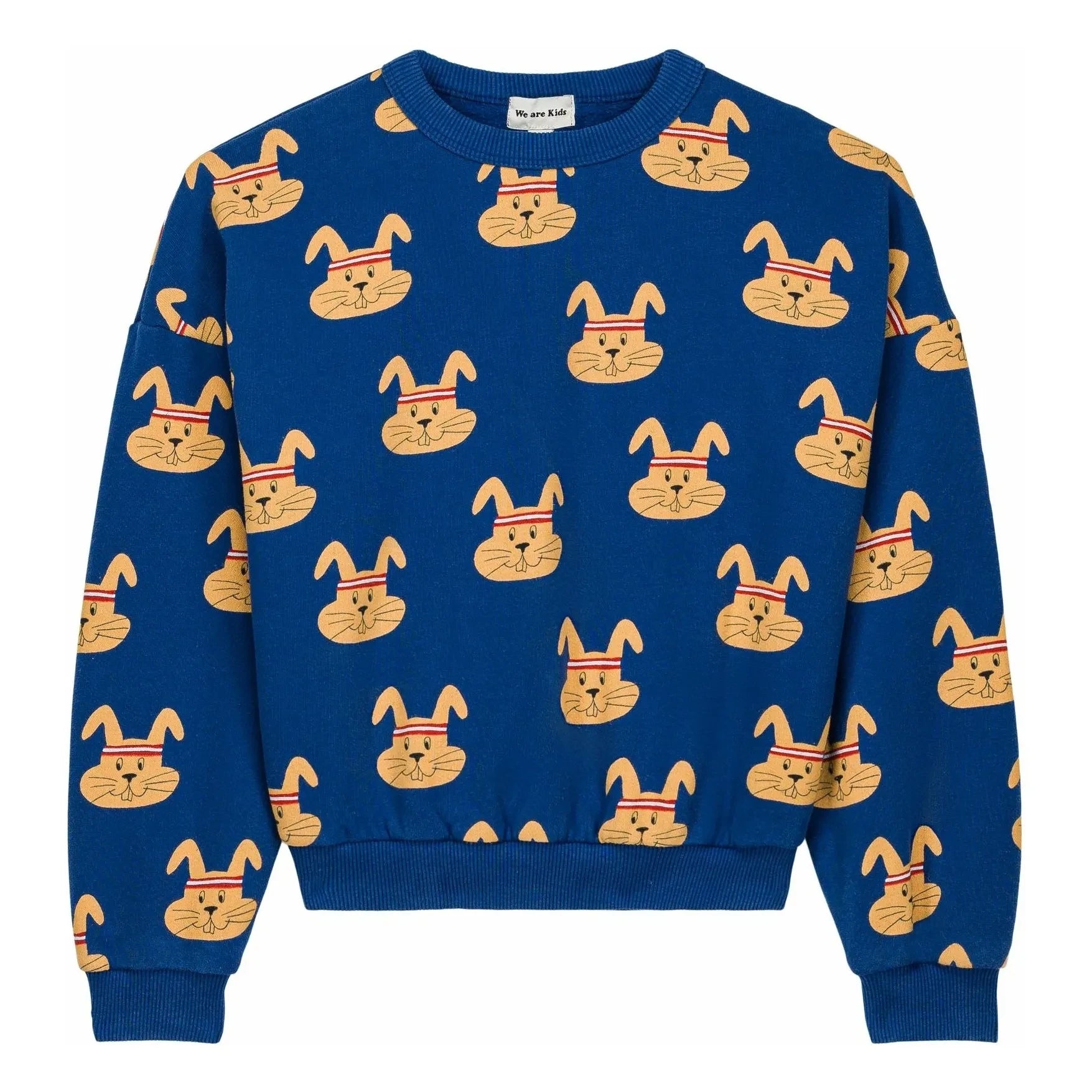 We Are Kids - Tony Lapins Organic Cotton Sweatshirt | Blue