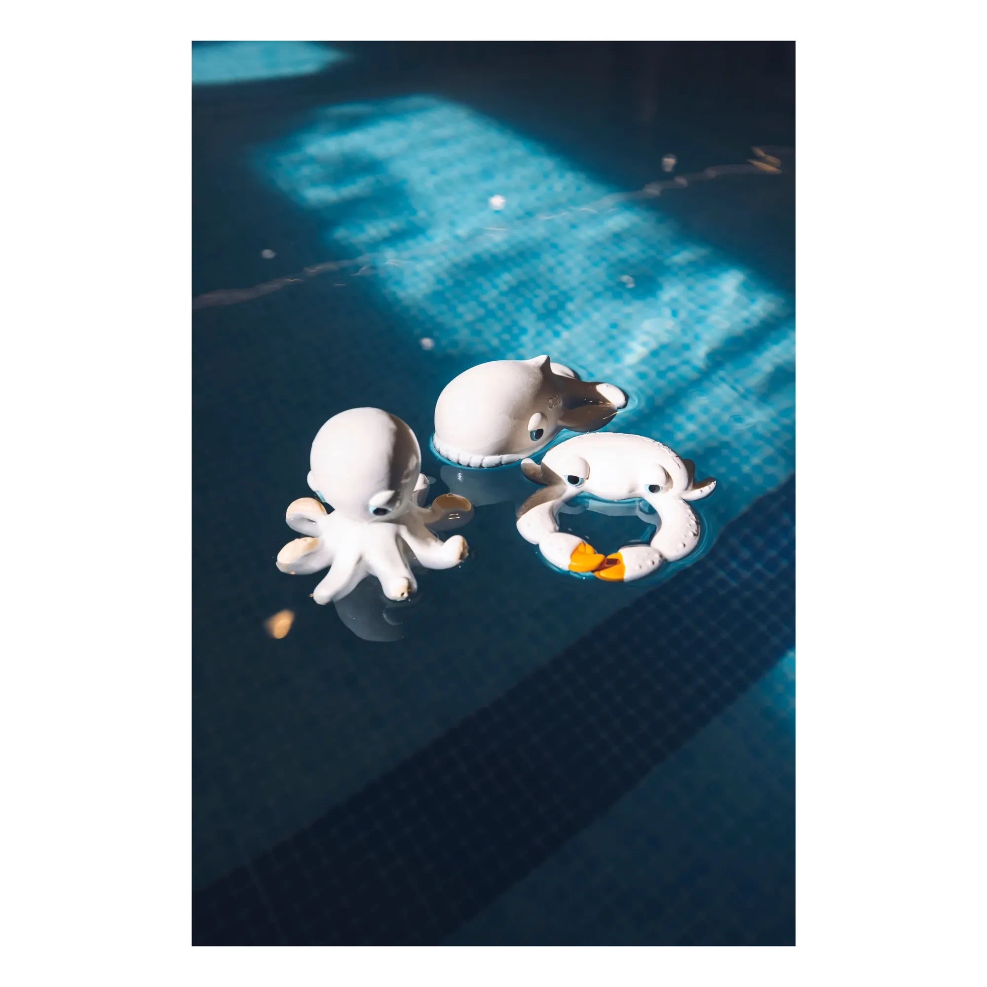 Oli & Carol - Walter Whale Bath Toy