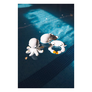 Oli & Carol - Walter Whale Bath Toy