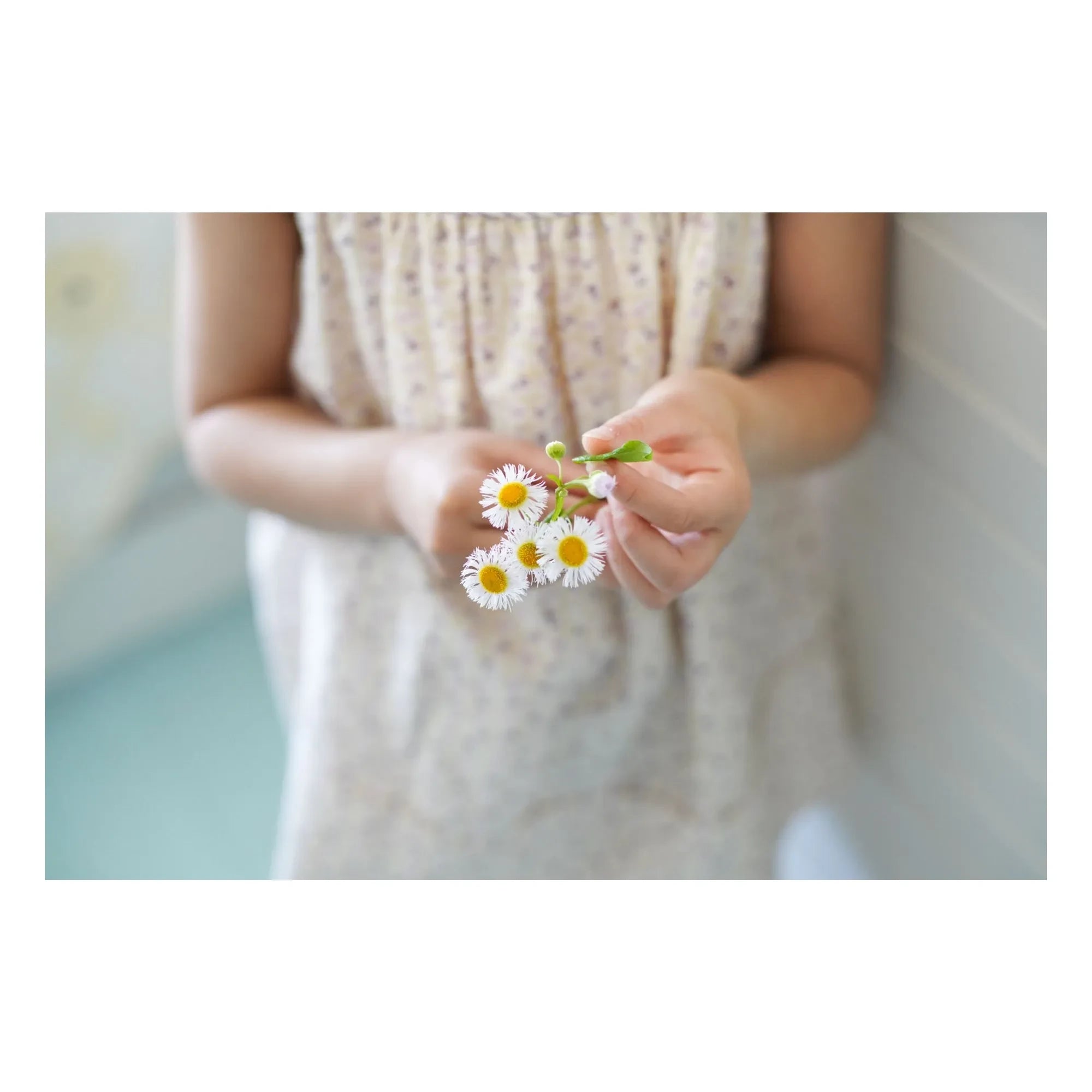 Soor Ploom - Delilah Fleurie Organic Cotton Dress | Ecru