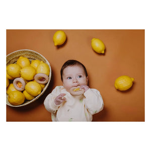 Petit Boum - Sensory Lemon Donut