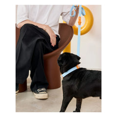 Approved by Fritz - Köpek tasması | Açık mavi
