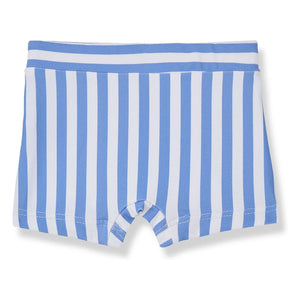 1+ in the family - Morell Striped Swimsuit Shorts | Light Blue