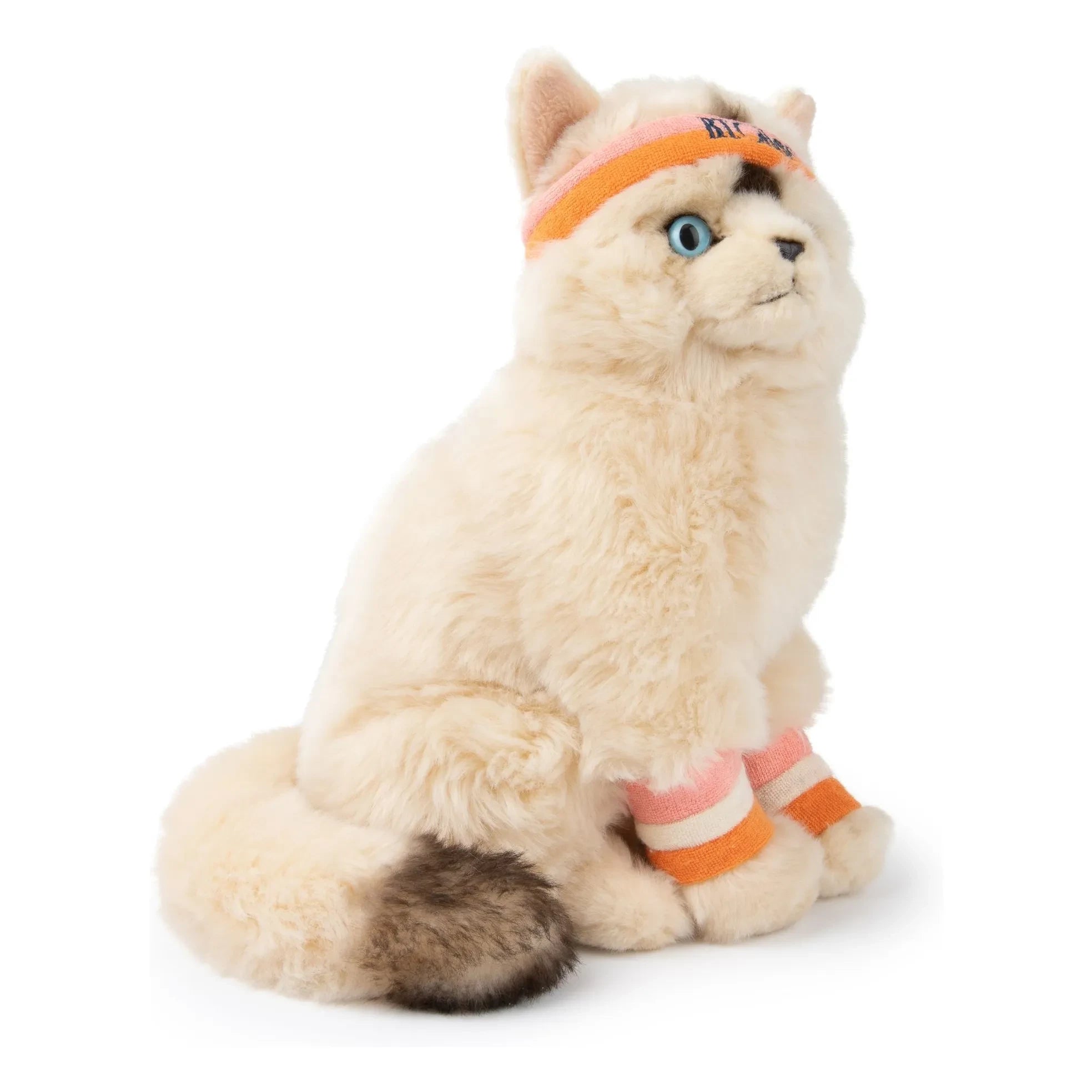 Bon Ton Toys - B.T.CHAPS - Dolly the Ragdoll Plush Toy | Beige