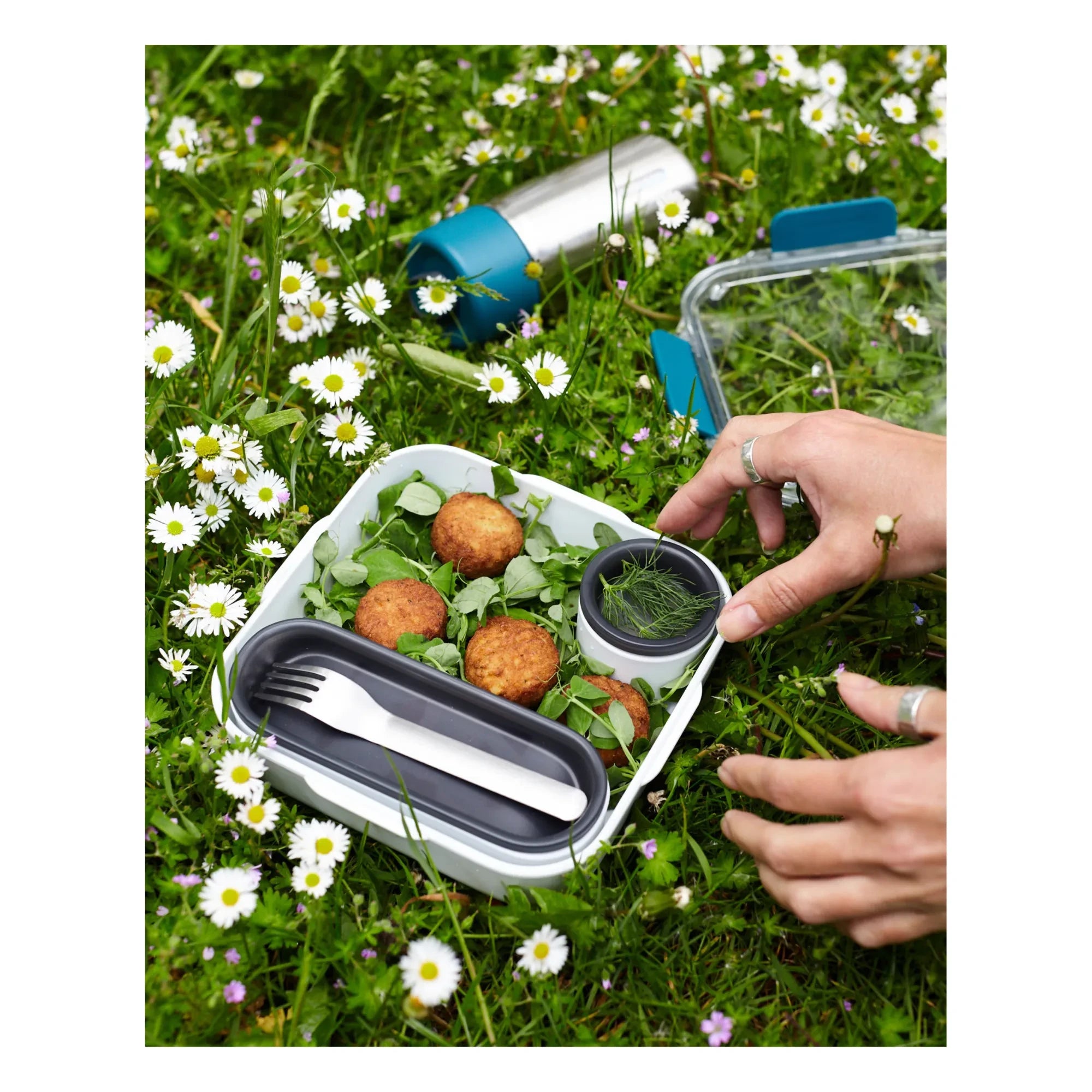 Black + Blum - Yemek Kabı - 1000 ml | Mavi