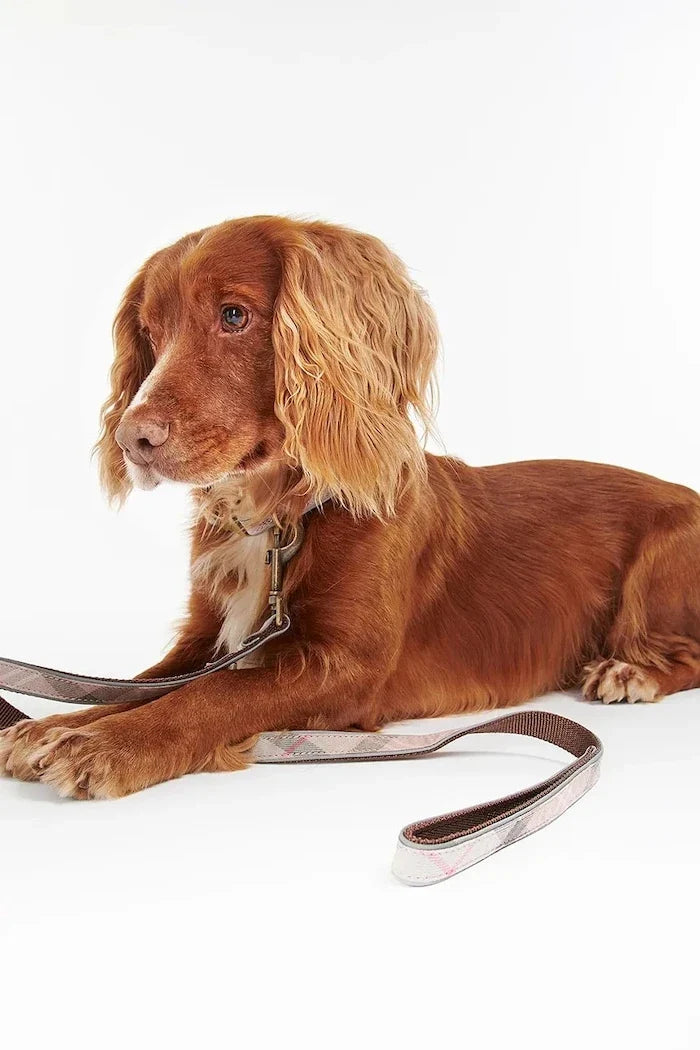 Barbour Reflective Tartan Dog 100 cm Köpek Tasması
