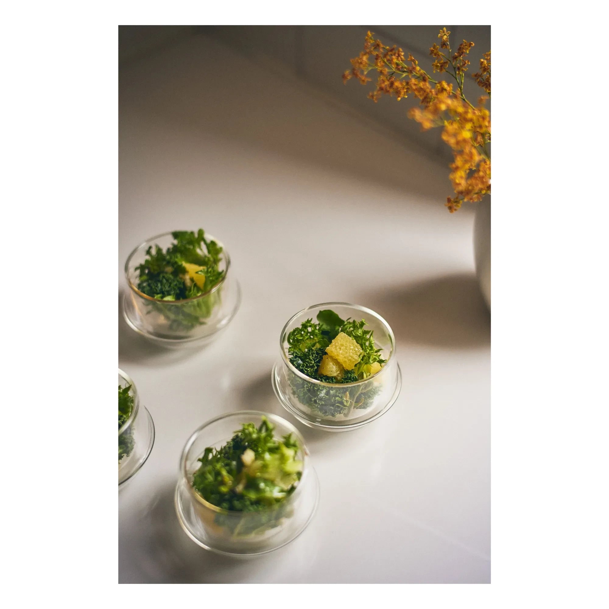 Kinto - Kronos Tea Cup