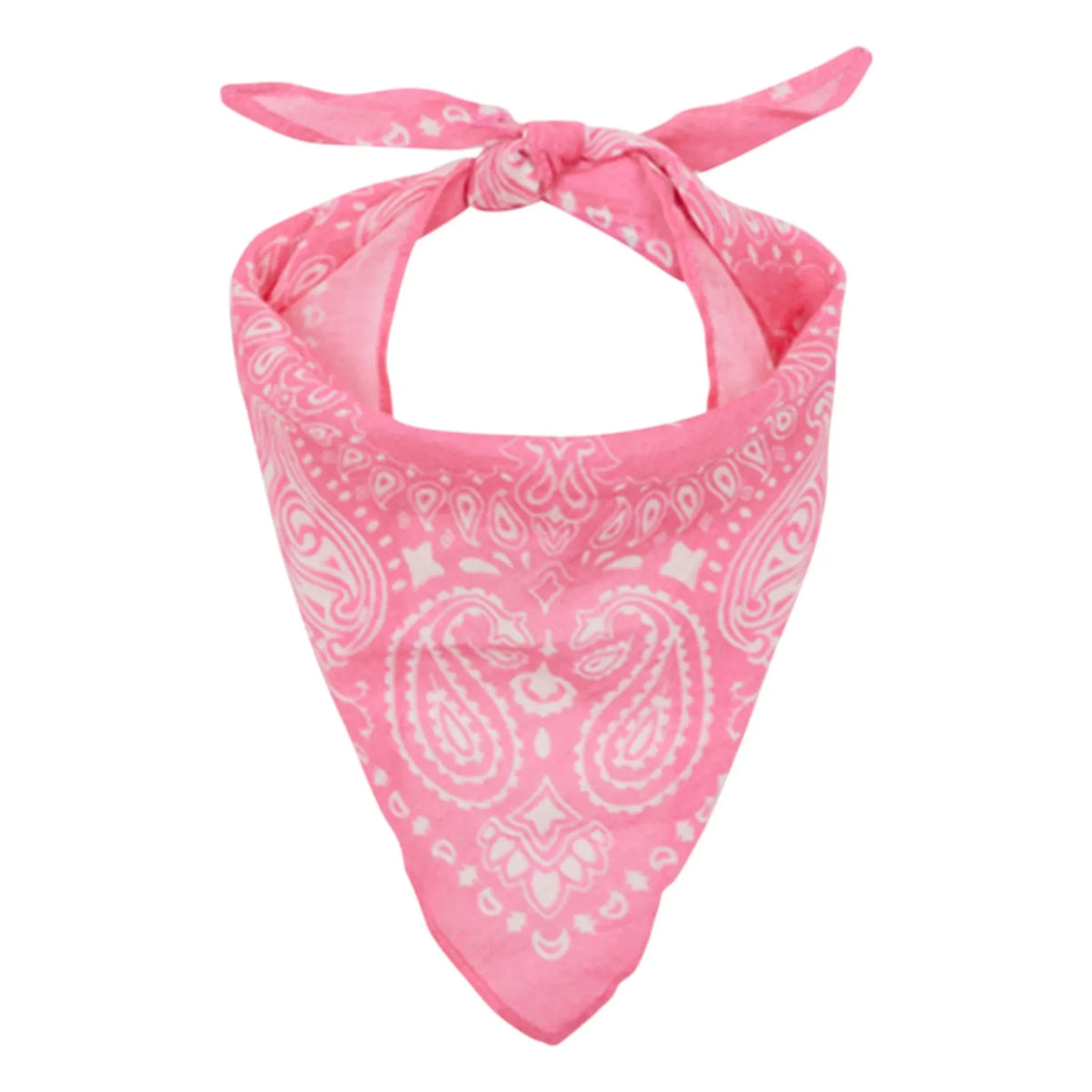 Arsène and Les Pipelettes - Pembe Veil Bandana