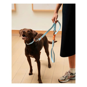 Approved by Fritz - Adjustable Dog Collar | Light Blue