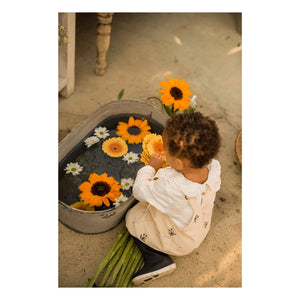 Oli & Carol - Sun the sunflower diş kaşıma halkası
