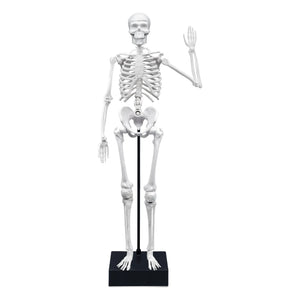 Buki - Skeleton 45 cm