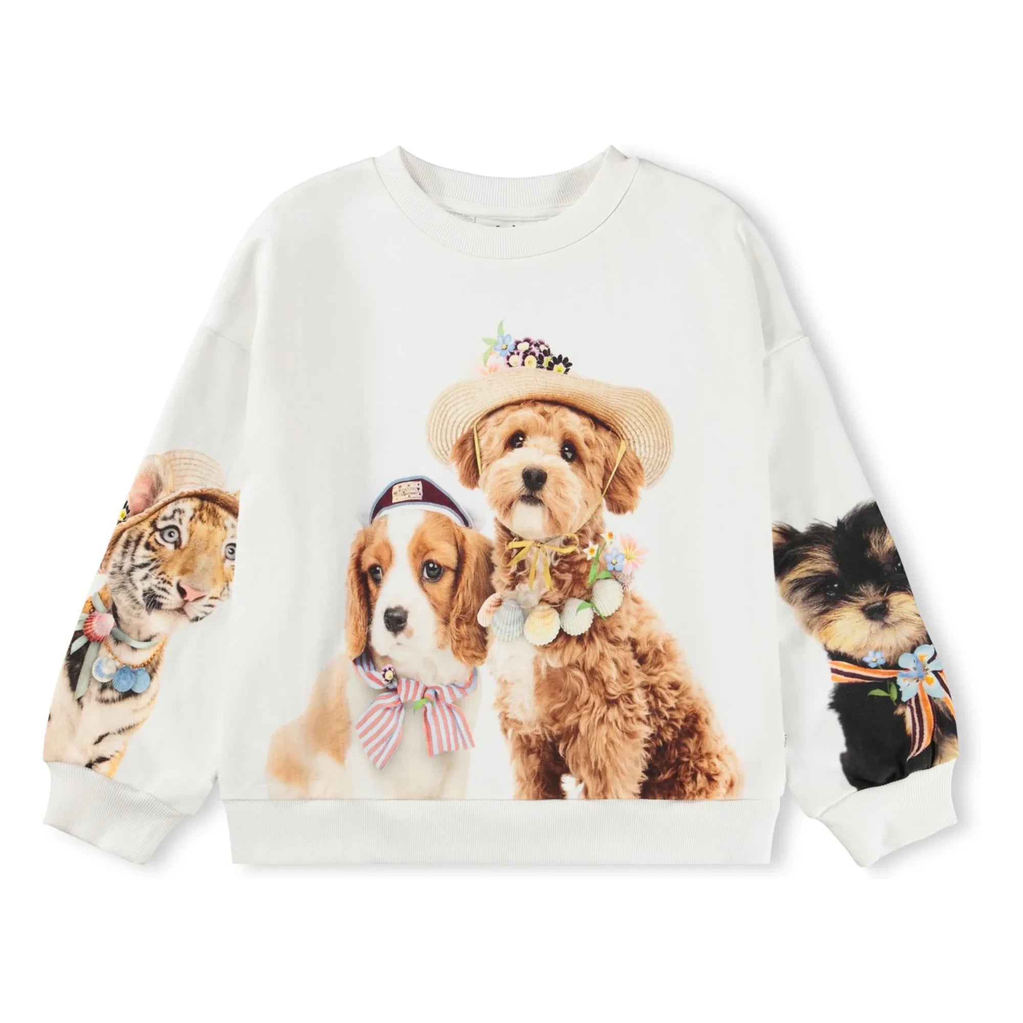 Molo - Maxi Dog Sweat Organic Cotton | White