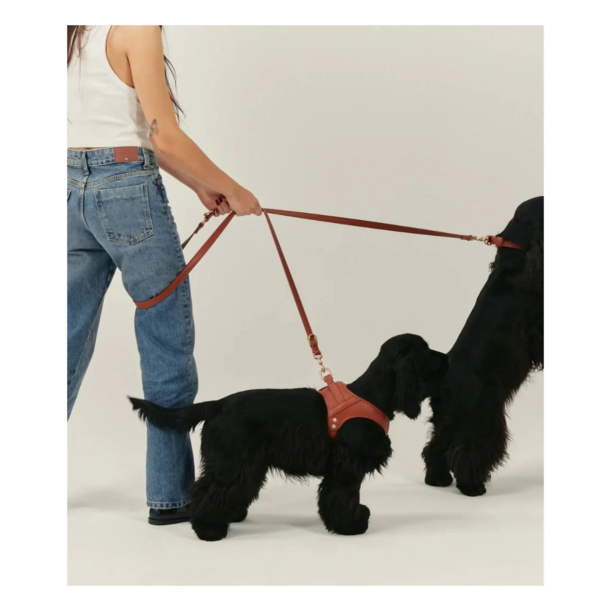 Cafide - Vegan Leather Dog Harness | Brown