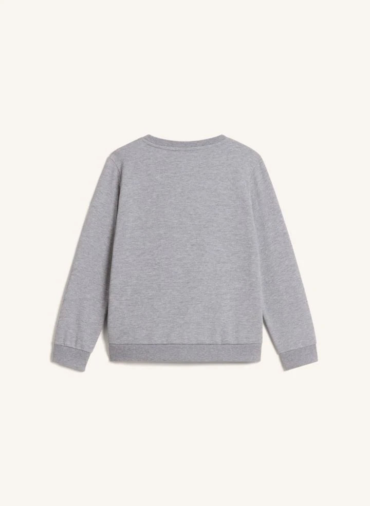 The North Face - Simple Done Sweatshirt | Gray Melange