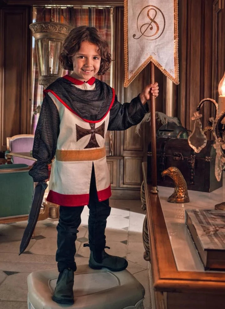 Souza - Norman Knight Costume