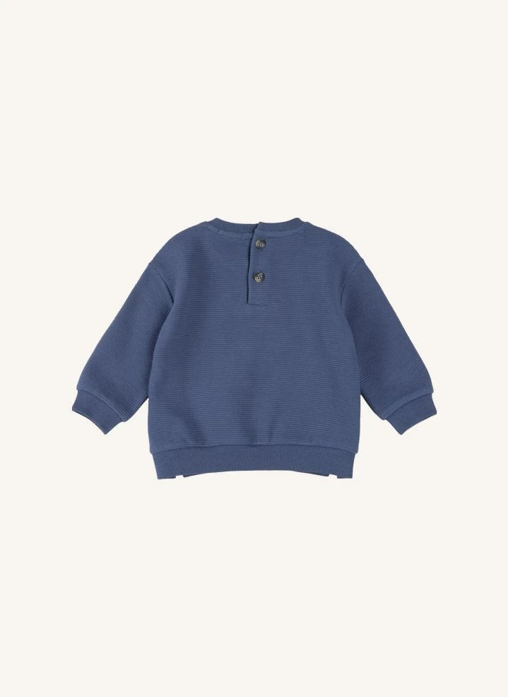Petit Lem - Organic Cotton Dog Sweatshirt and Jogger Set | Blue