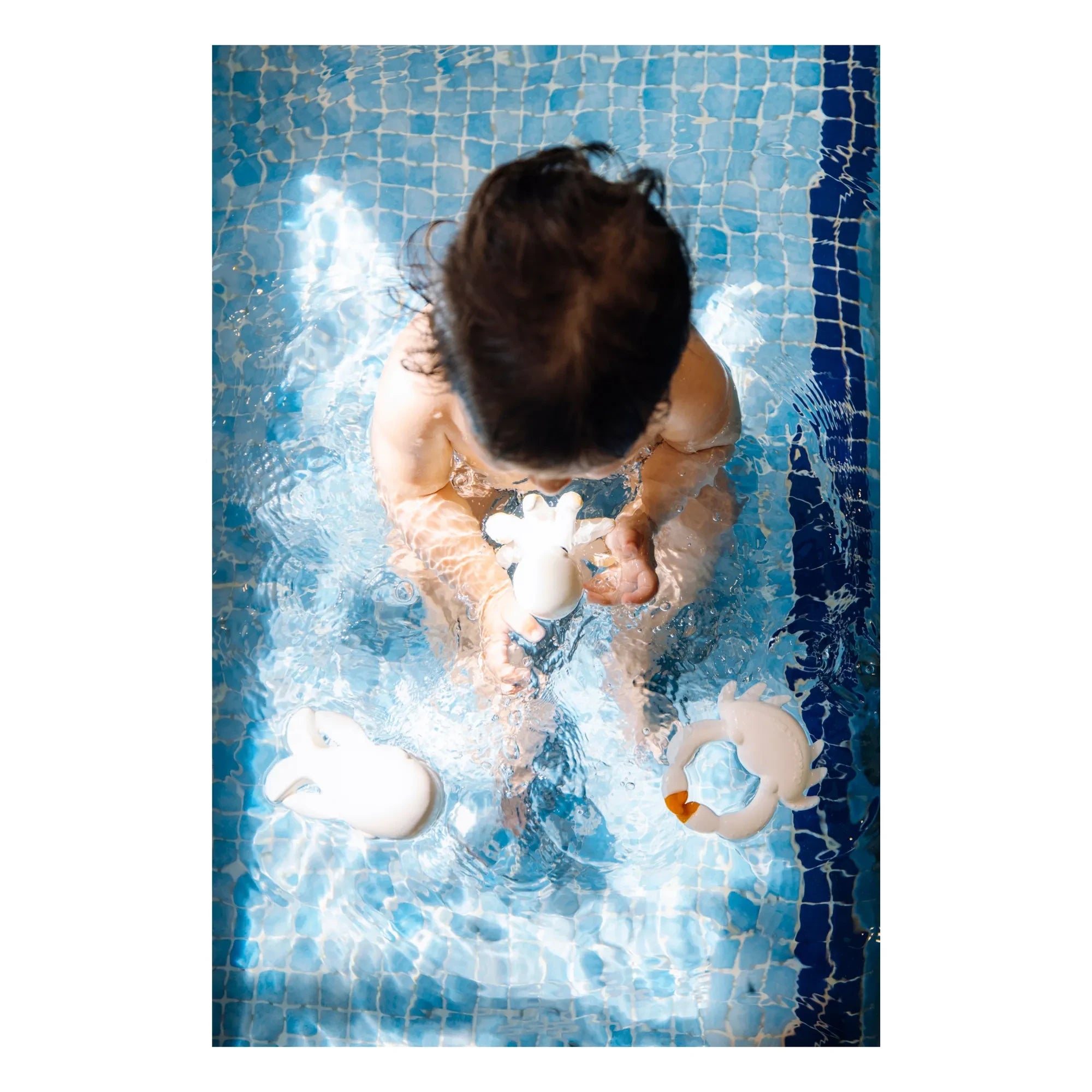Oli & Carol - Walter Whale Bath Toy
