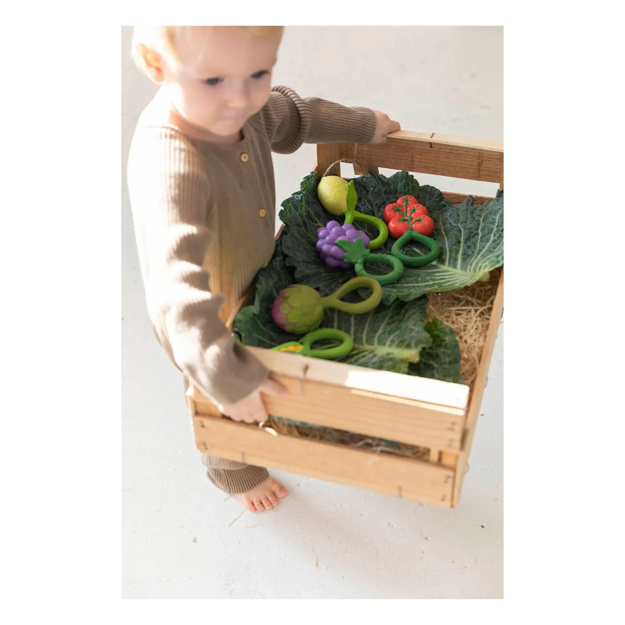 Oli & Carol - Artichoke Rattle