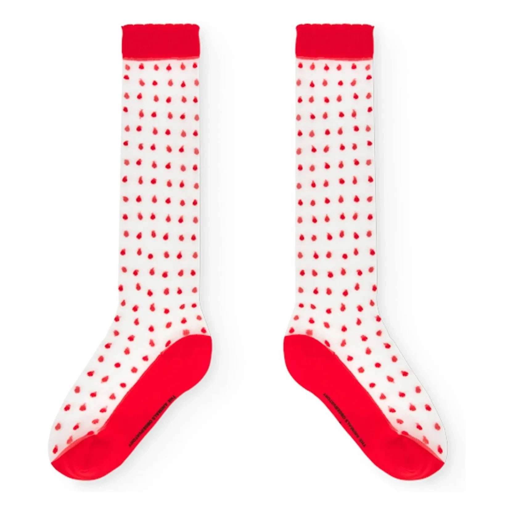 The Animals Observatory - Red Socks