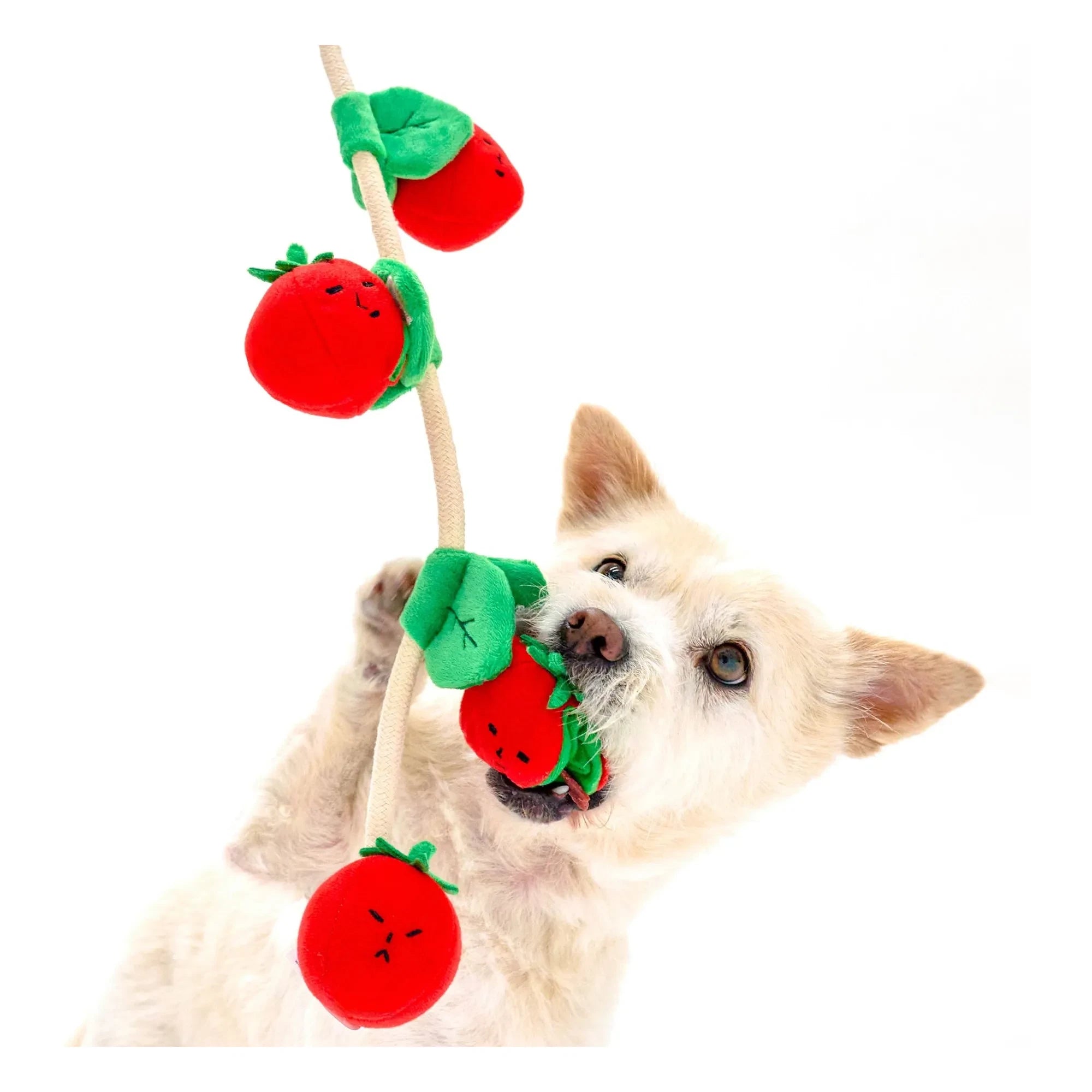 The Furry Folks - Cherry Tomato Chew Toy | Tomato Red