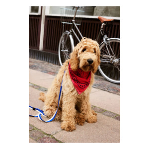 Hay - Dog bandanas | Red