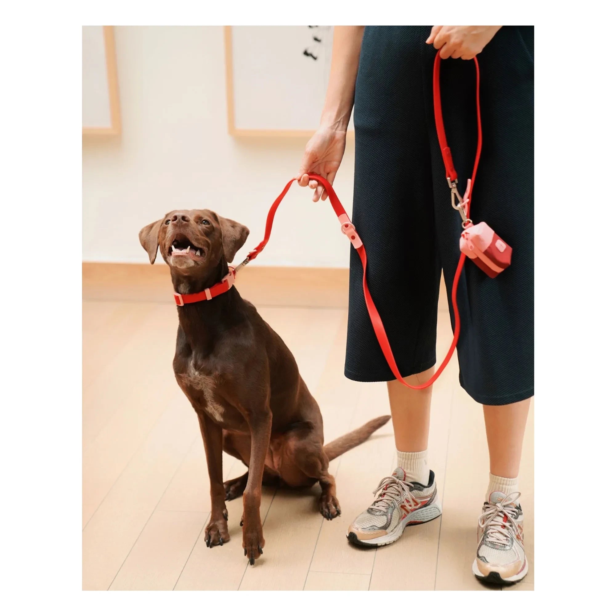Approved by Fritz - Dog Collar | Cherry Red