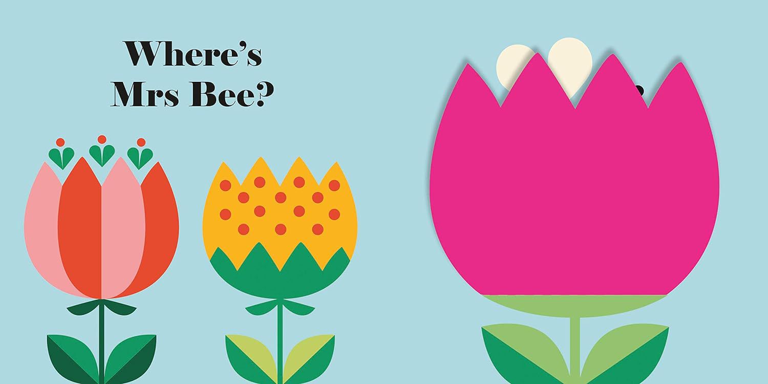 Nosy Crow - İngilizce Bayan Uğurböceği Nerede? Kitap-Dinossi