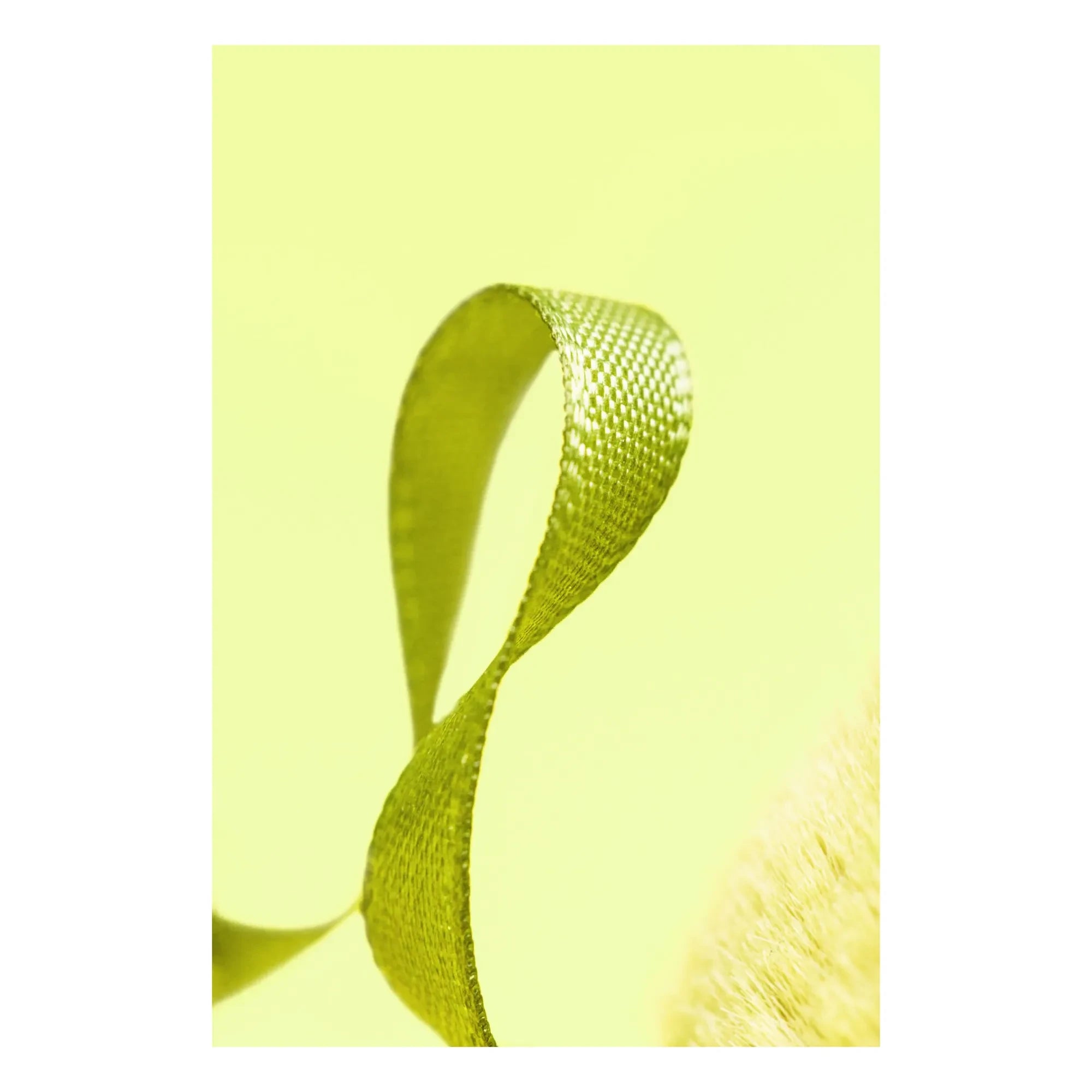 Jellycat - Plush Olive Sets | Green