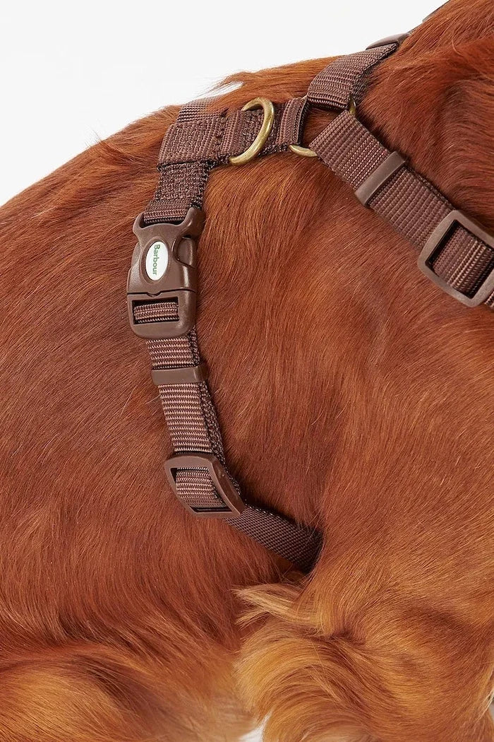 Barbour Travel And Exercise Köpek Göğüs Tasması