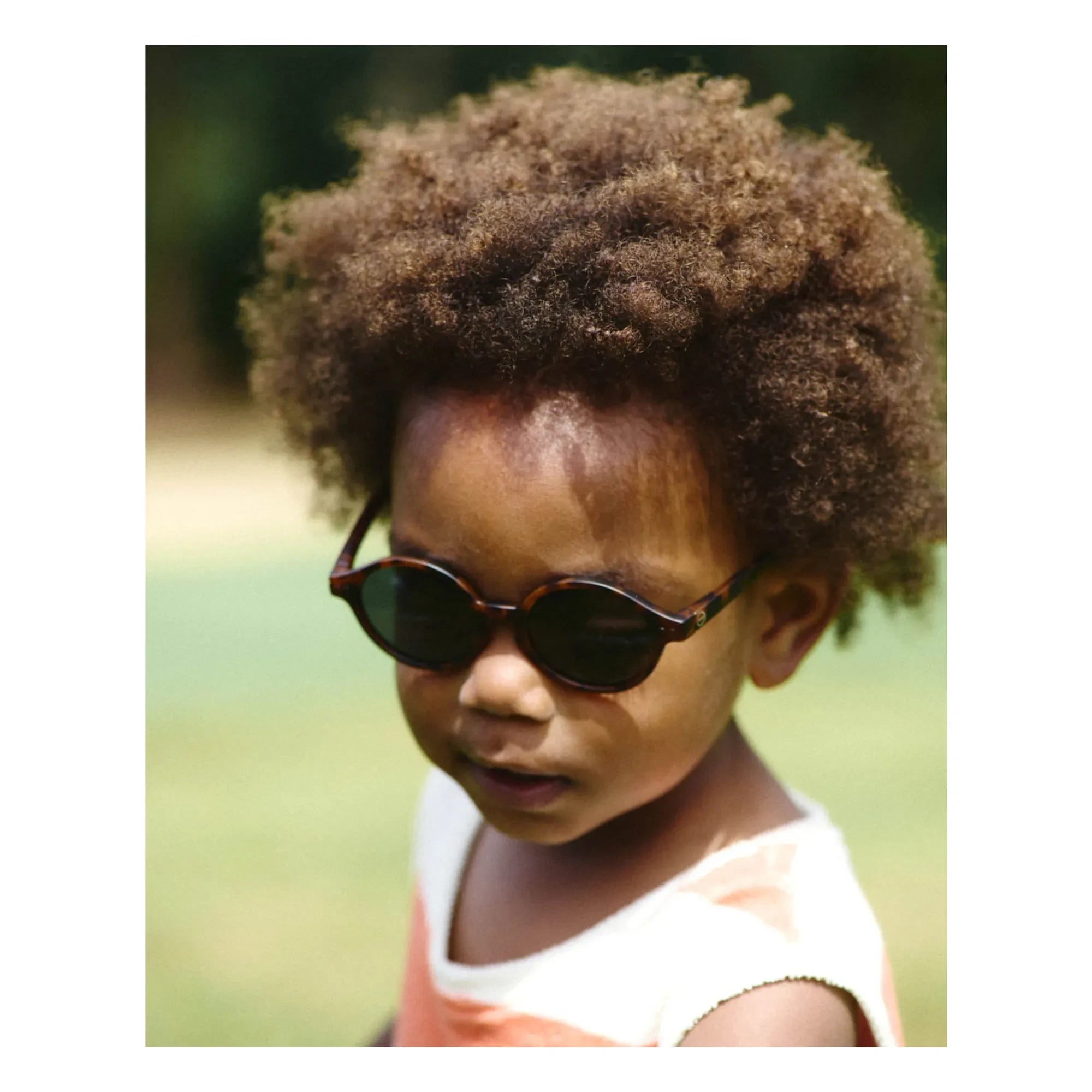 IZIPIZI - #D Baby Tortoise Sunglasses | Brown
