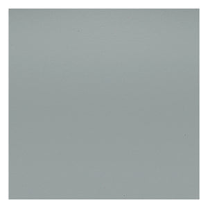 Vitra - DSR Plastik sandalye - krom çerçeve - Charles & Ray Eames | Açık gri