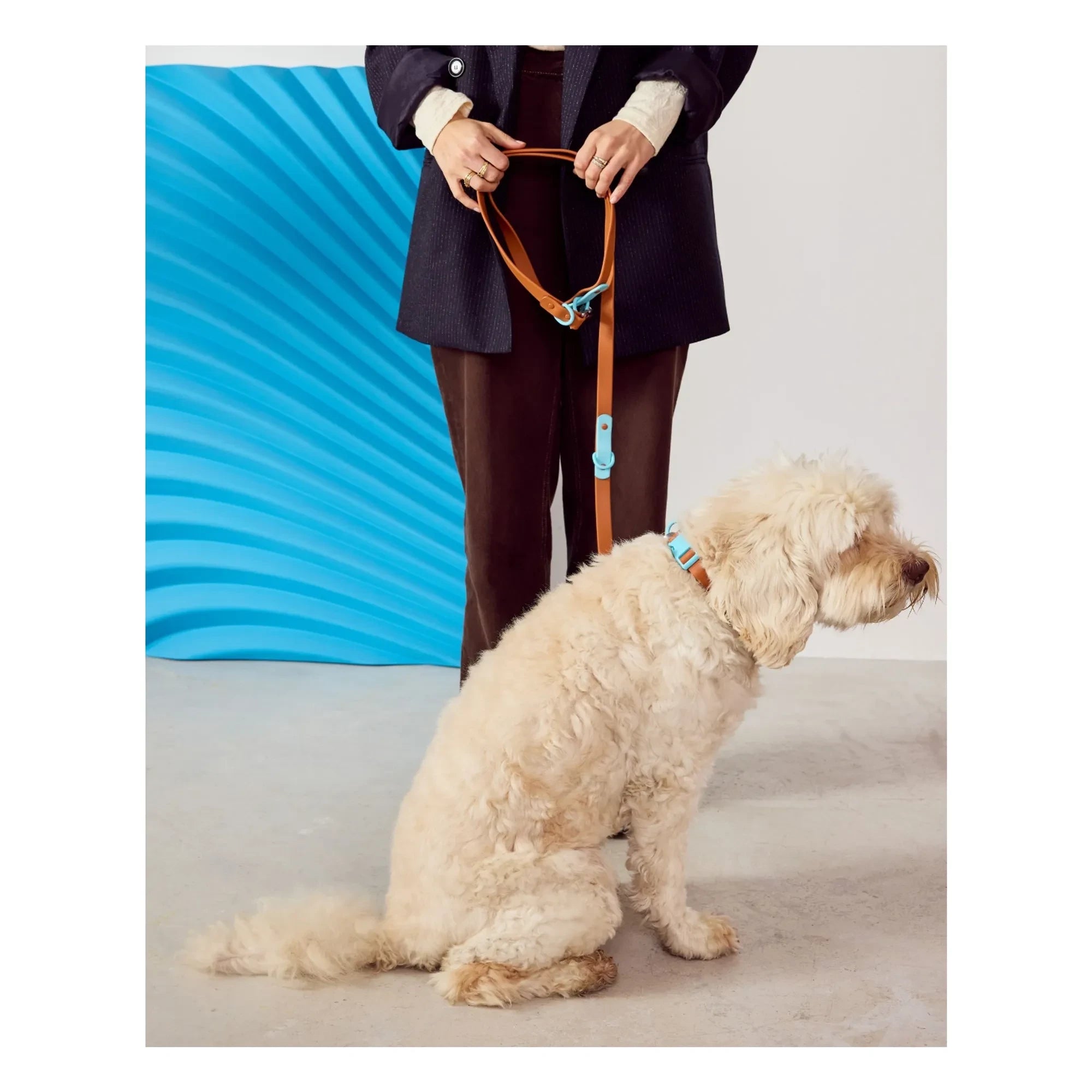 Approved by Fritz - Ayarlanabilir köpek tasması | Çikolata