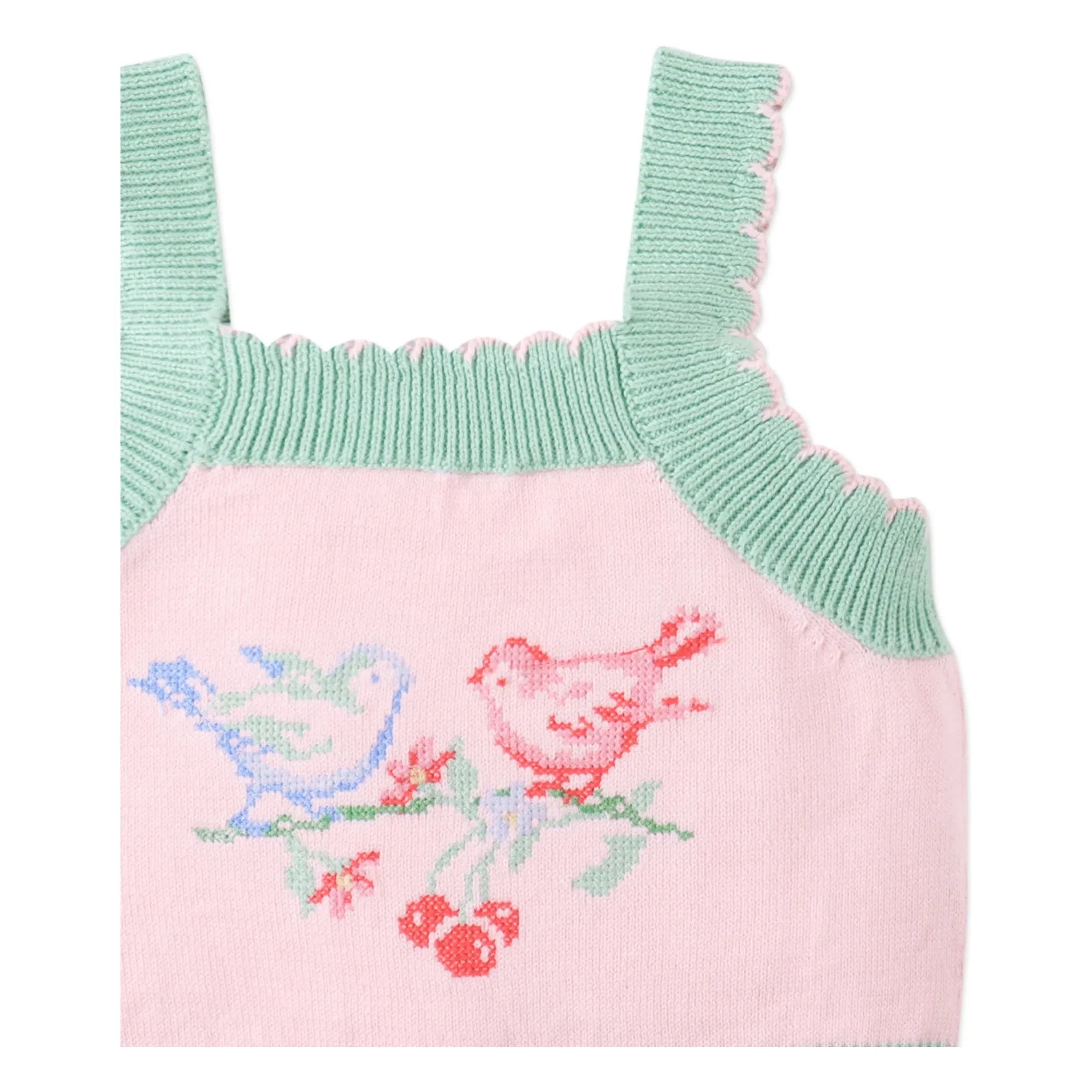 Gingersnaps - Pale Pink | Rose Embroidered Tulle Crop Top