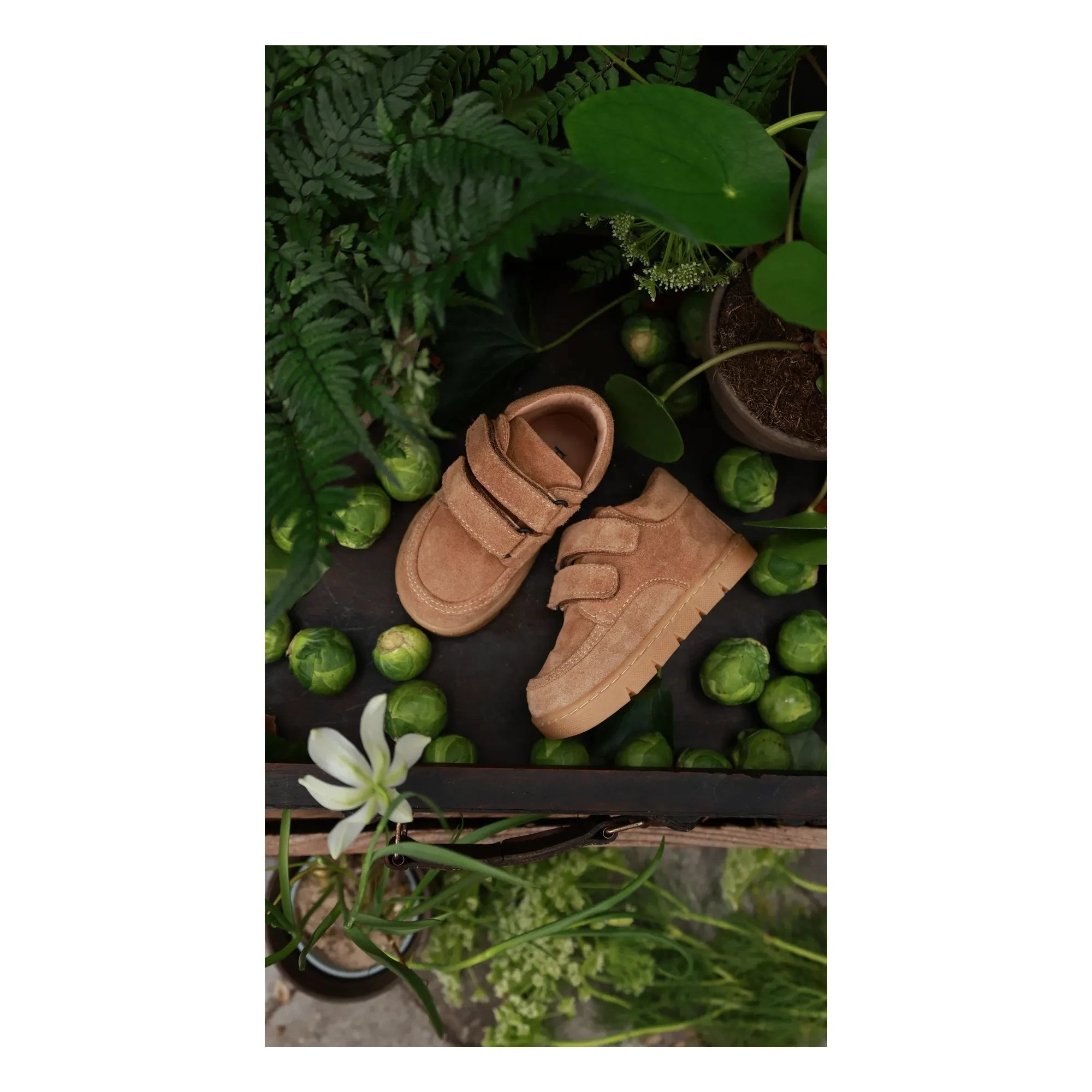 Petit Nord - Chubby Cruiser Scratch Sneaker | Bej