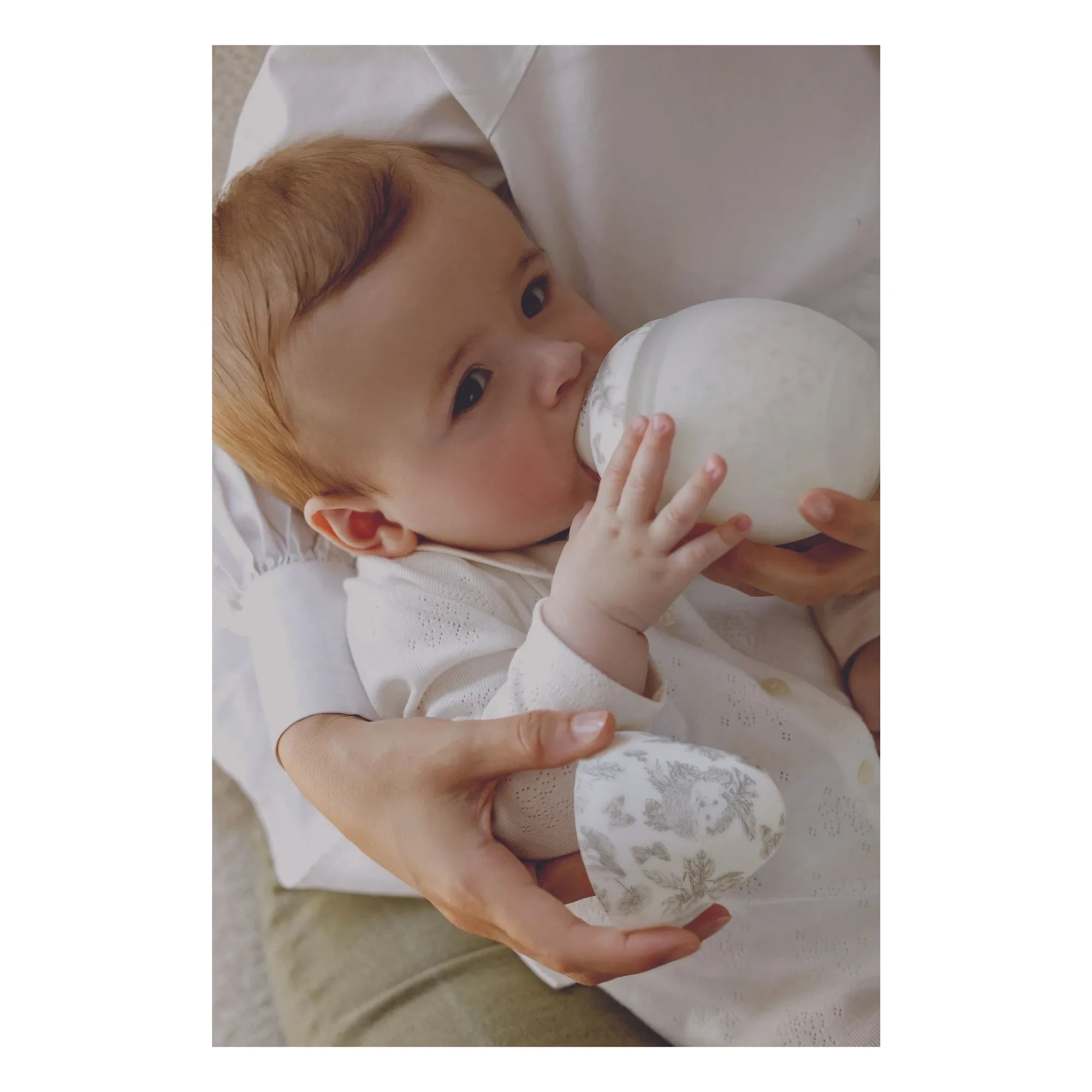 Elhée - Toile de Jouy Medical Silicone Bottles and Physiological Pacifiers - Elhée x Tartine et Chocolat | Gray