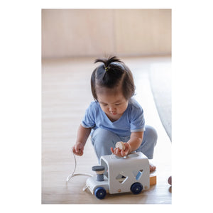 Plan Toys - Tenderness 3-Shaped Sorting Tool