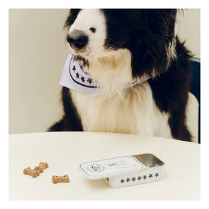 Hay - Dog treat box | Blue