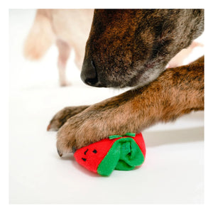 The Furry Folks - Cherry Tomato Chew Toy | Tomato Red