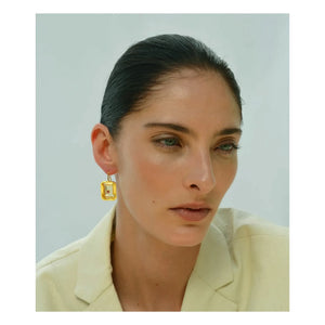Lizzie Fortunato - Terracotta Earrings | Citrine