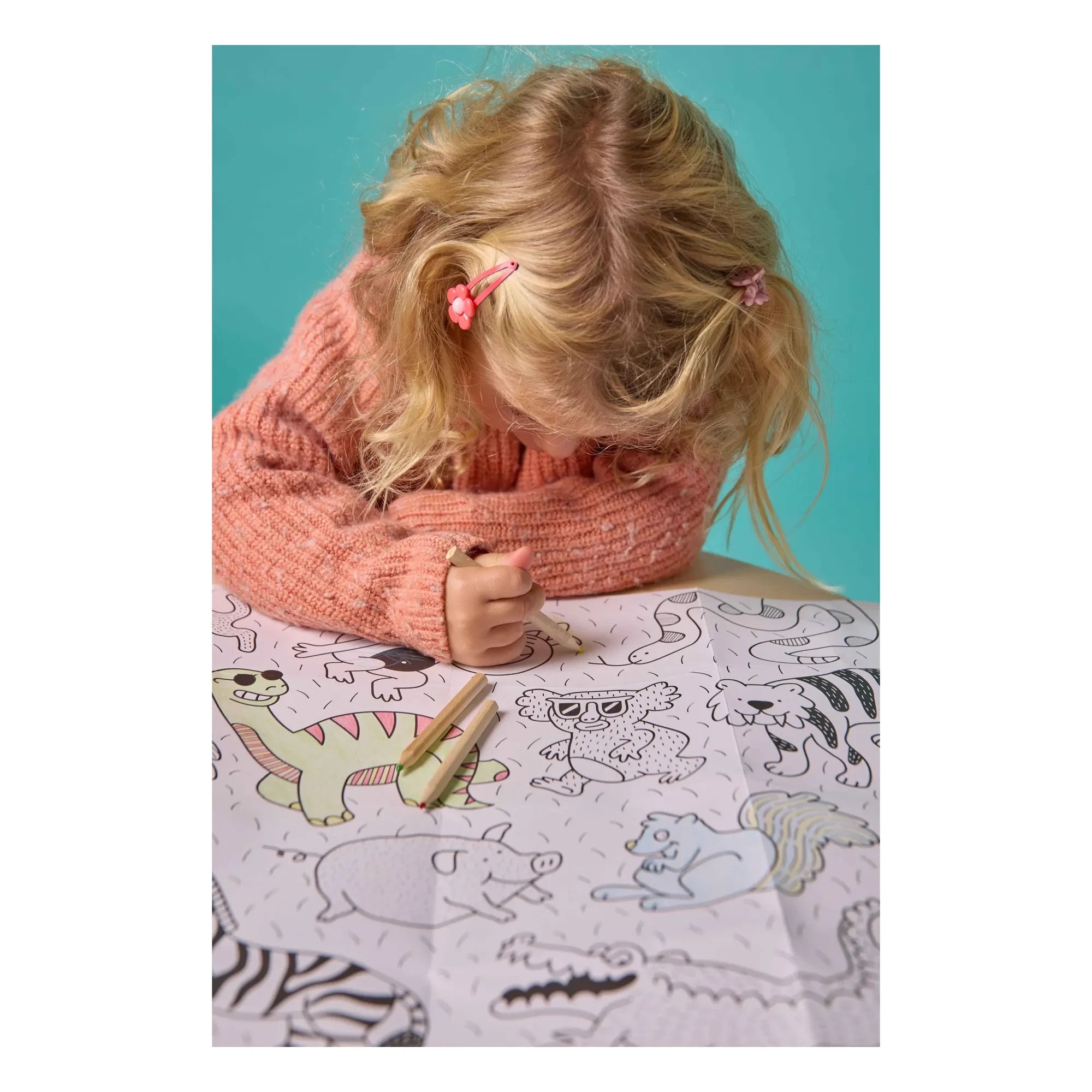 Omy - Animal Mini Painting Set