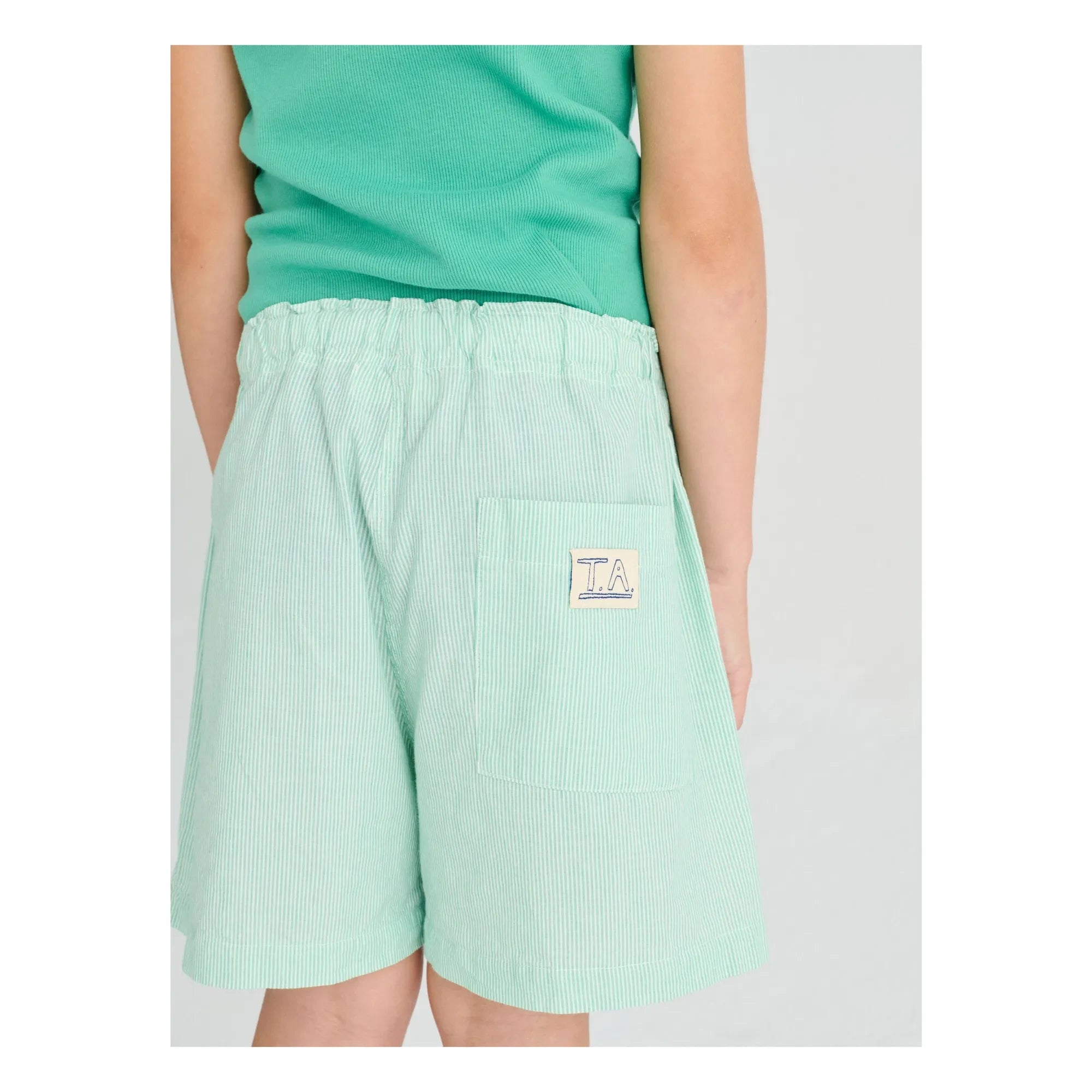 True Artist - Green Striped Short Shorts No.11