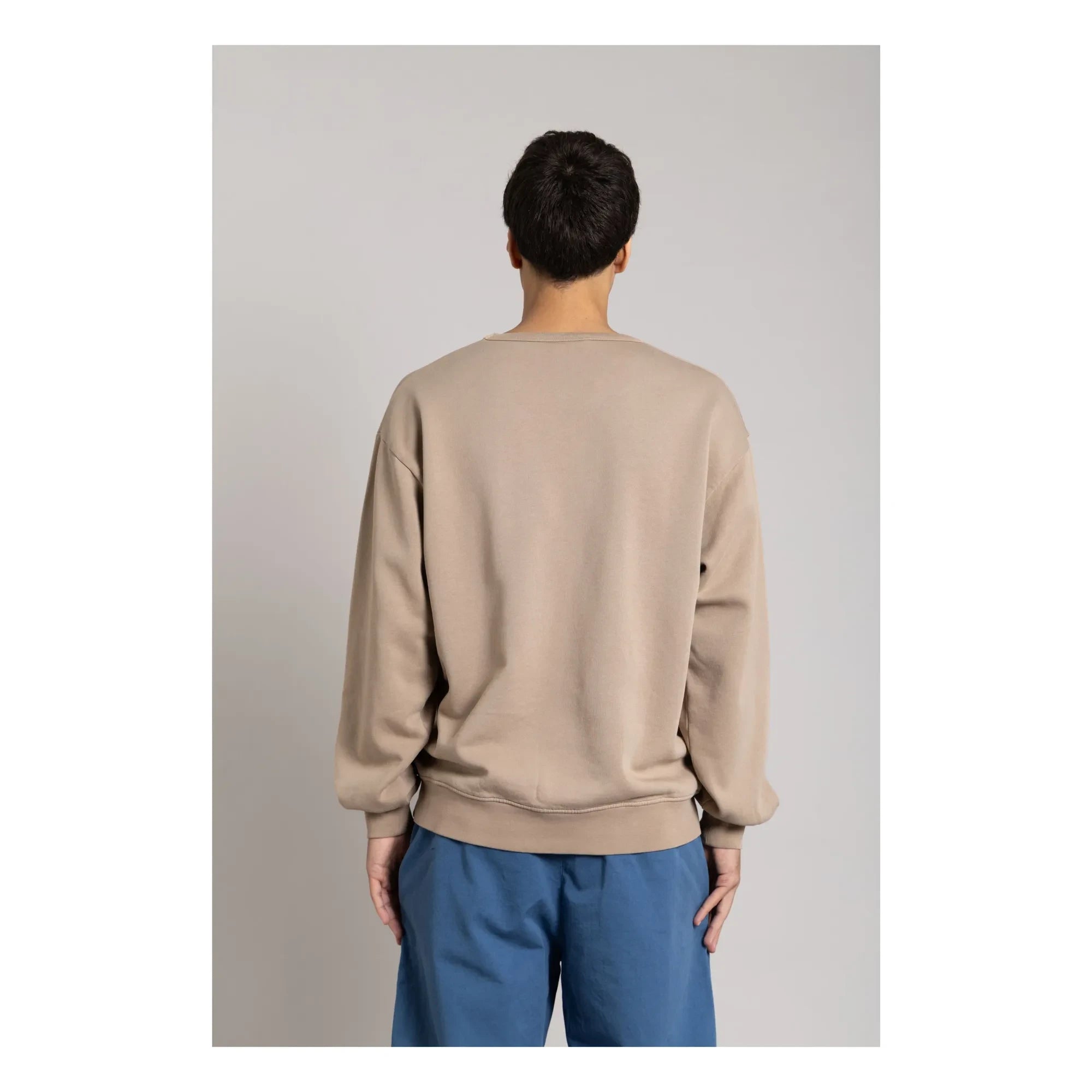 Smallable Man - Bond organic cotton sweatshirt | Taupe brown