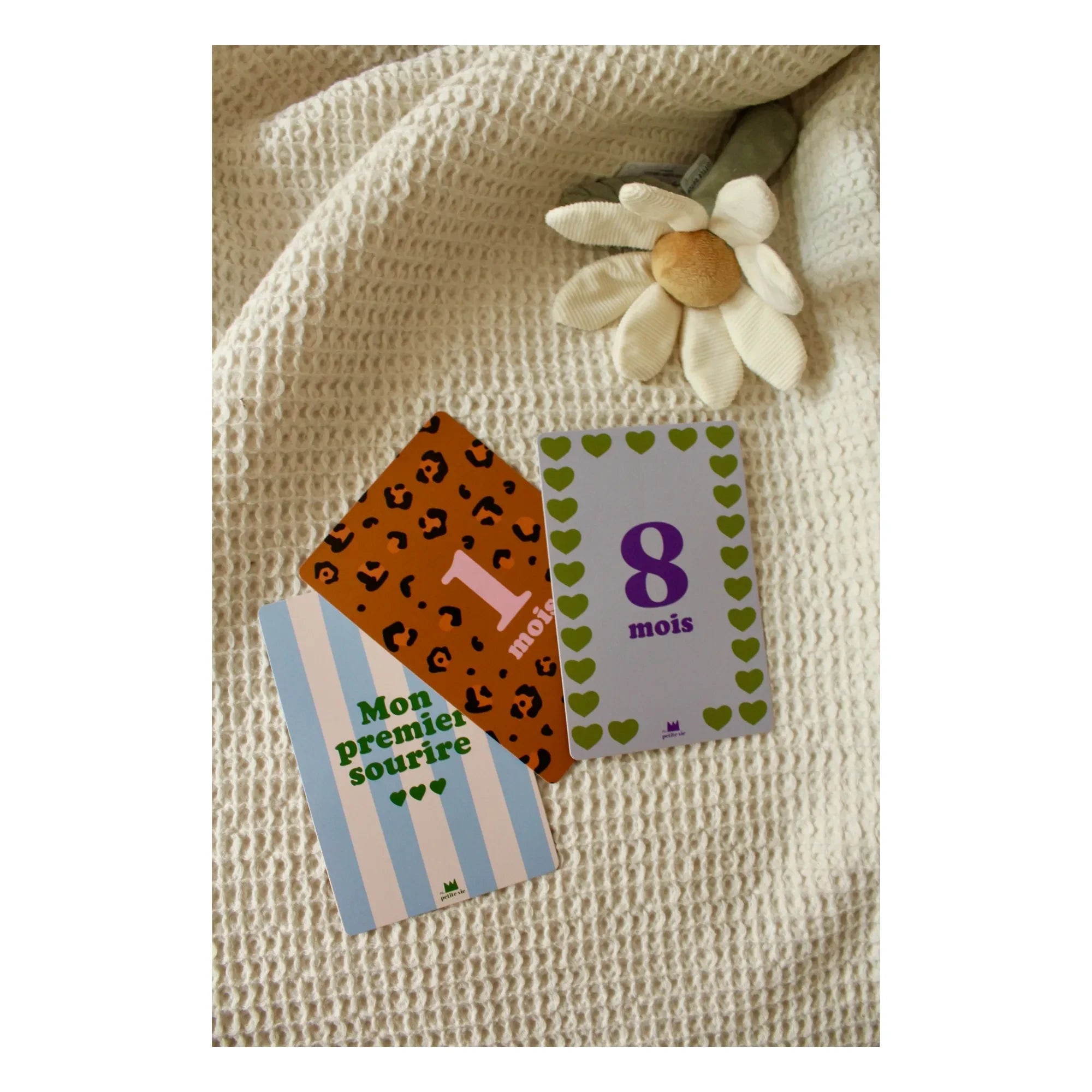 Ma petite vie - First 12 Months Milestone Cards