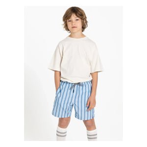 Finger in the nose - Freeboy Striped Swim Shorts | Blue