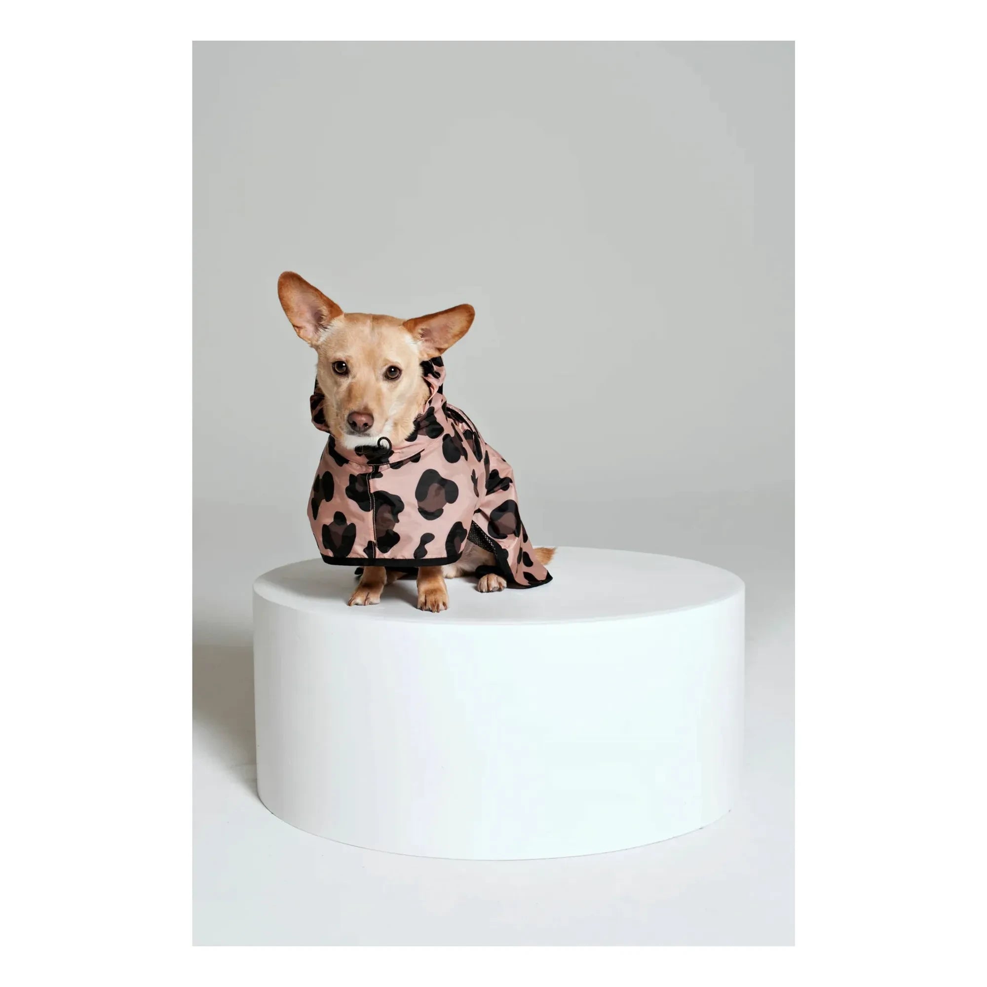 Rainkiss - Pink Panther Waterproof Dog Raincoat | Pink