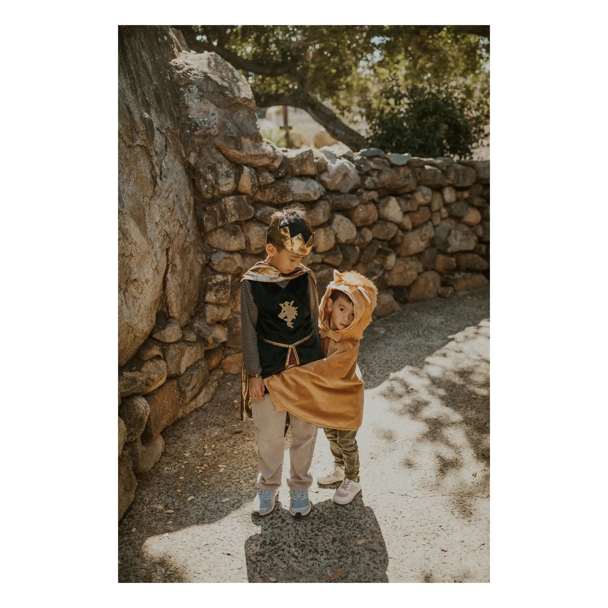 Great Pretenders - Cape and Crowned Knight Costume | Or