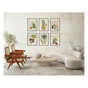 Les Jolies Planches - Jasmine Poster