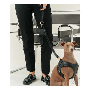 Cafide - Vegan leather dog collar | Black