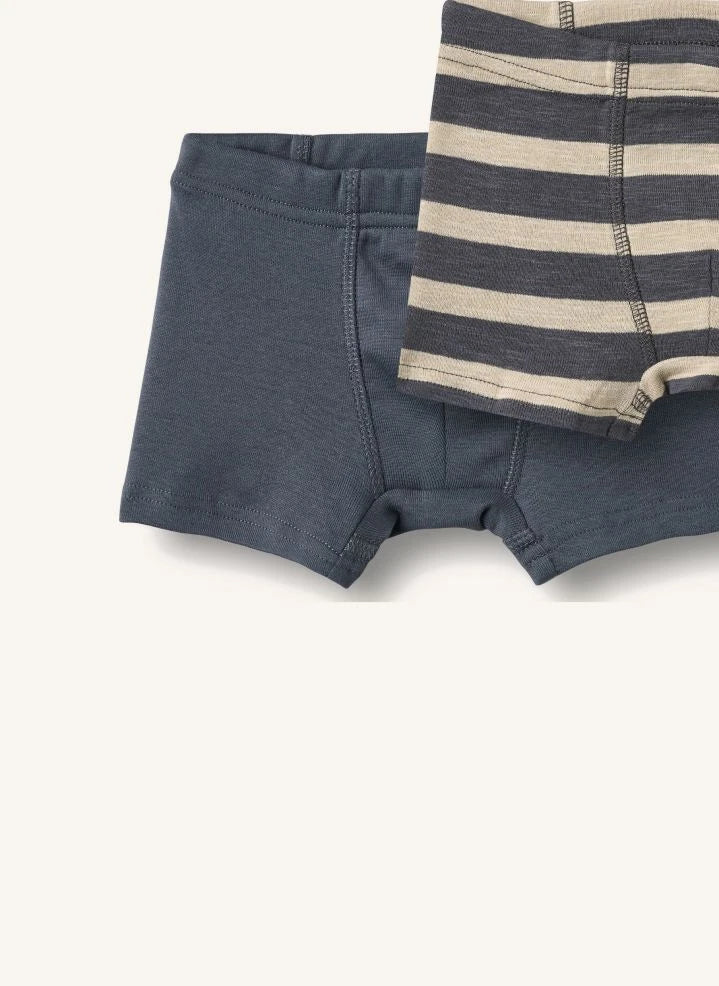 Wheat - 2'li Louis Coton Bio Boxer şort | Kömür grisi